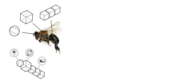 Augmented ecology web2