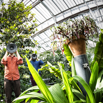 Box greenhouse uupitirronen 2