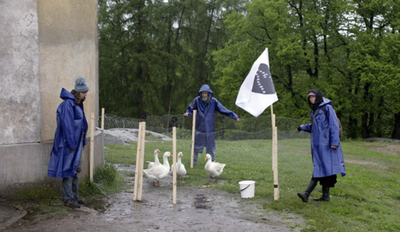 Standard geese big2