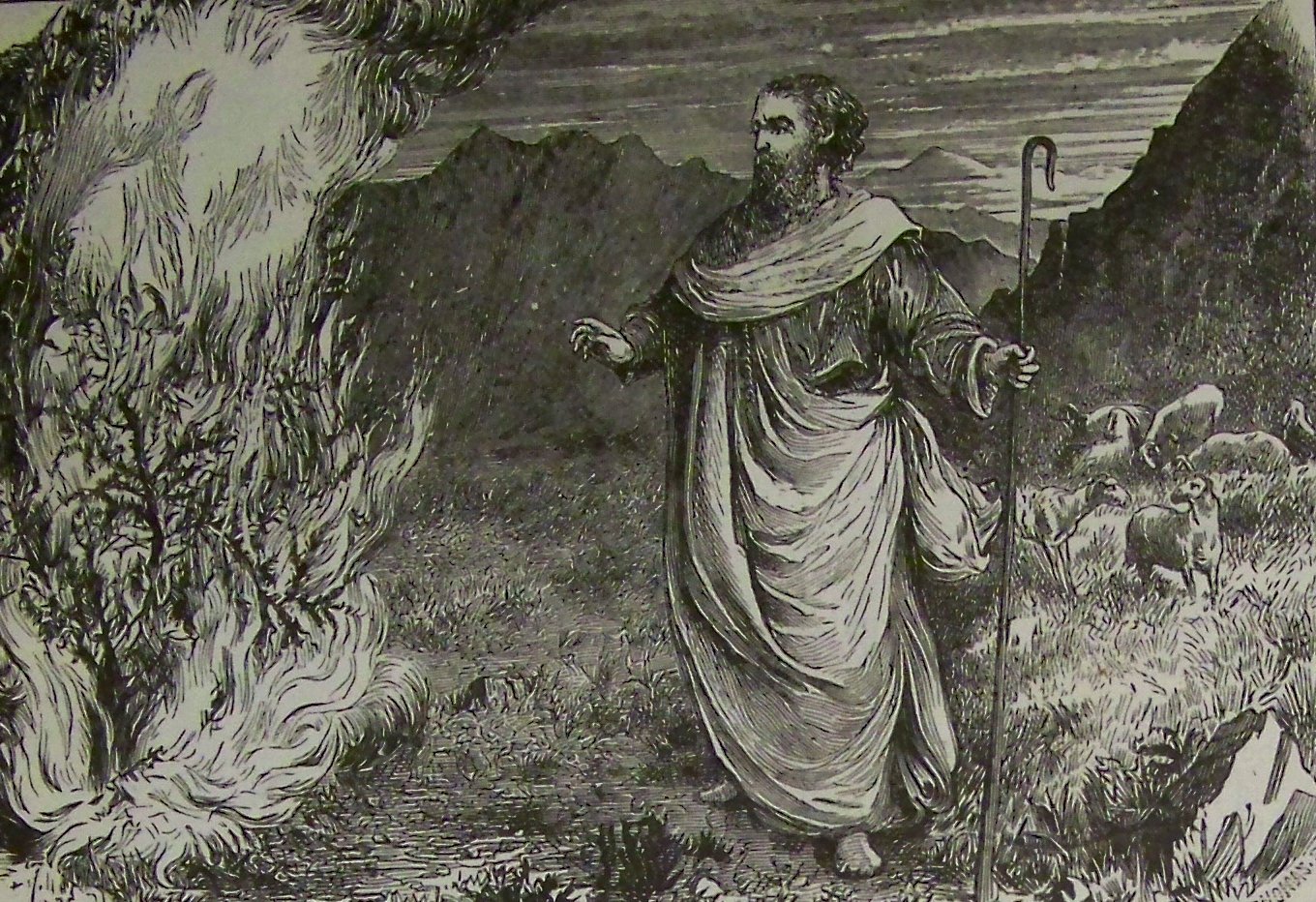 Holman moses and the burning bush