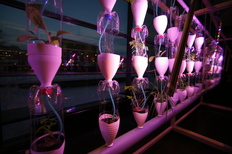 Standard windowfarms fi installation evening close angle credit antti ahonen