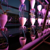 Thumb windowfarms fi installation evening close angle credit antti ahonen
