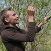 Thumb ossi kakko foraging 660x466