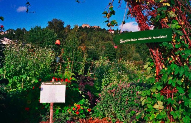 Standard kurpisatalon sadonkoruujuhla image