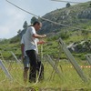 Thumb img 3038