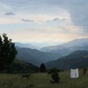 Thumb img 2985