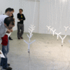 Thumb process as paradigm21