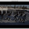 Thumb flux on ice