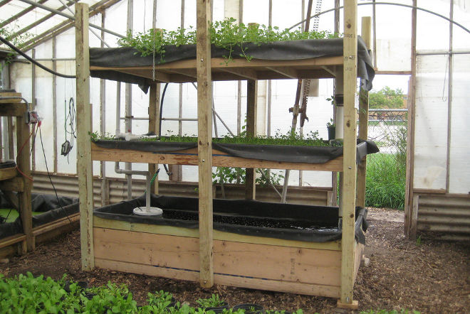 Aquaponic system growing power credit charlie vinz