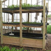 Thumb aquaponic system growing power credit charlie vinz