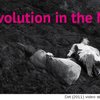 Thumb bitkina revolution in the net 660x400