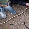 Thumb 20130605 copper scavenging waste expodition ore e ref 660x440