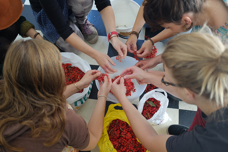 Pic opensorbus hands