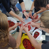 Thumb pic opensorbus hands