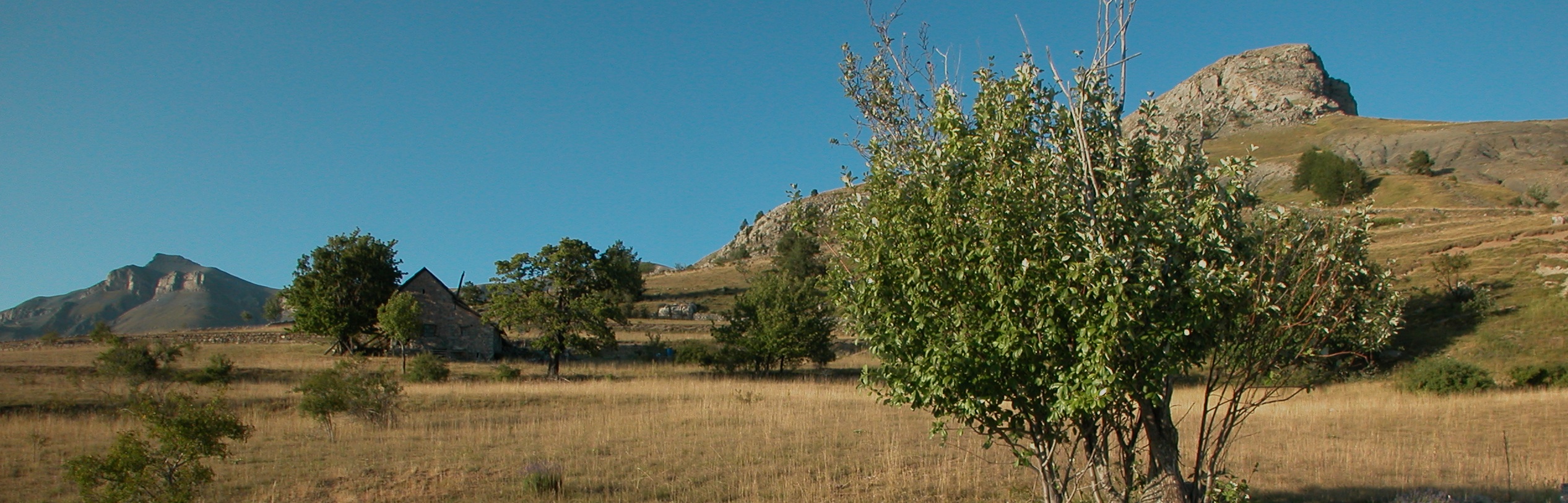 Estive panorama